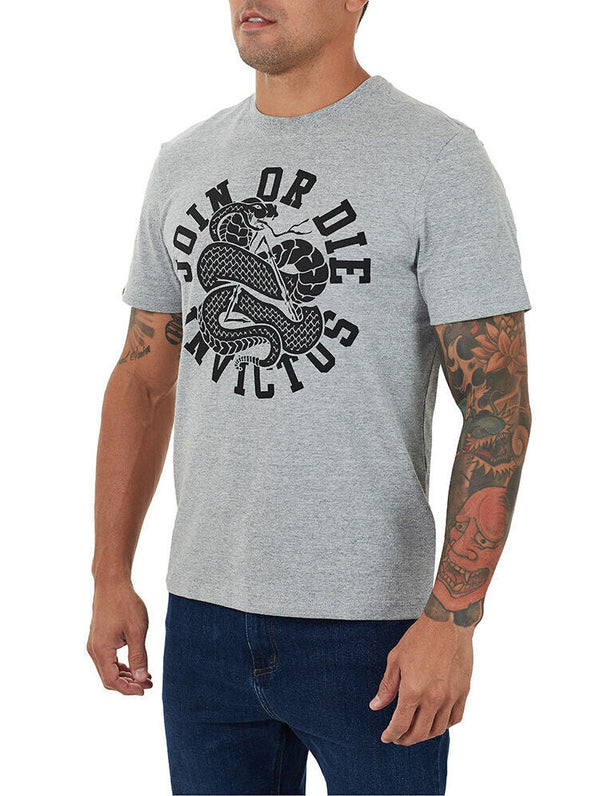 Camiseta Concept Unity - Cinza